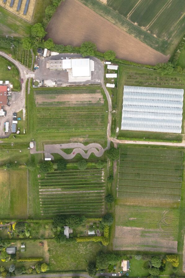 Ariel view of the Balloon Tree