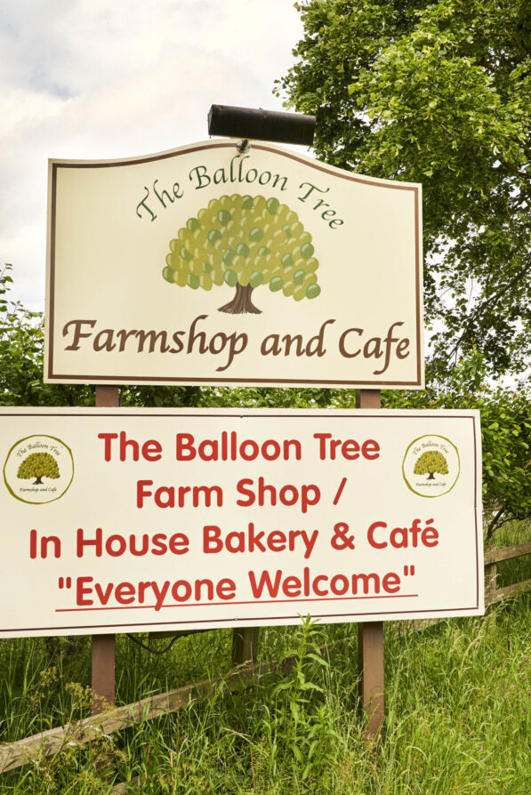 Signs for the Balloon Tree outside our premises