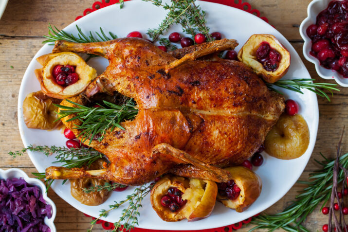 Christmas Duck