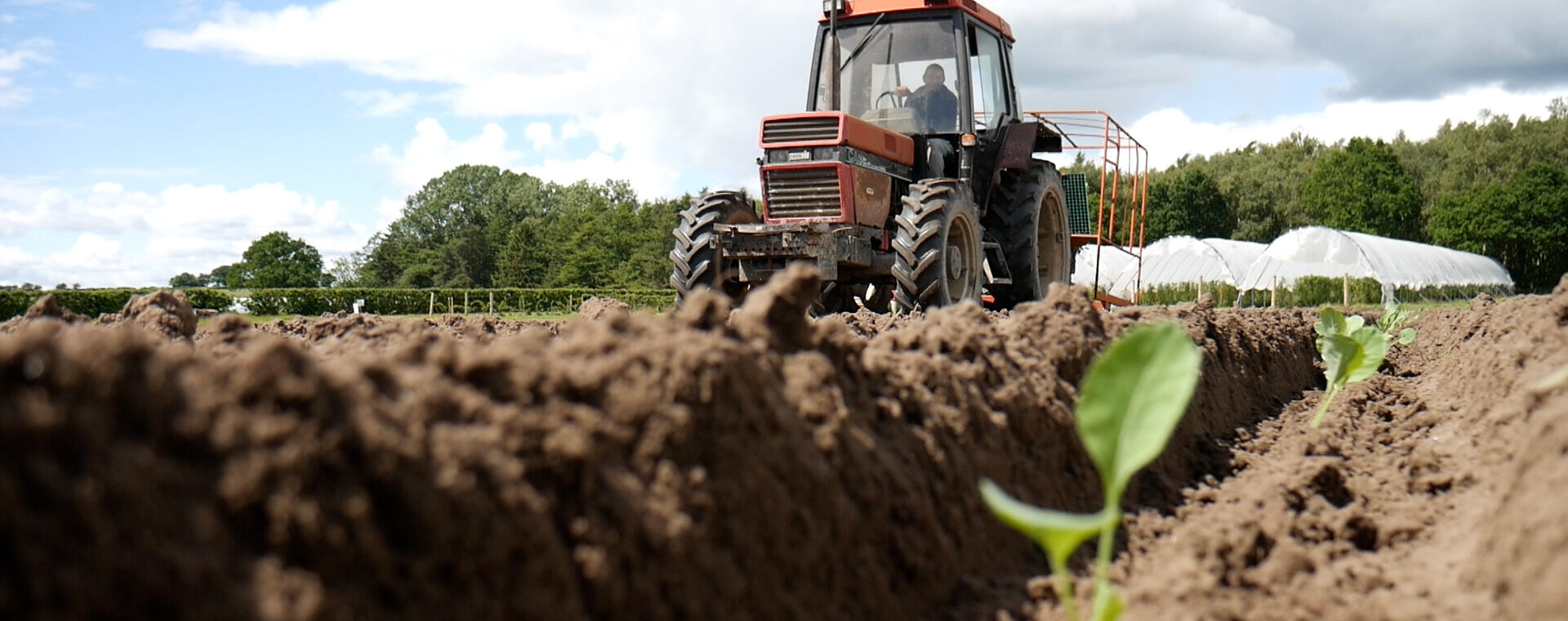  A tractor at work in the fields